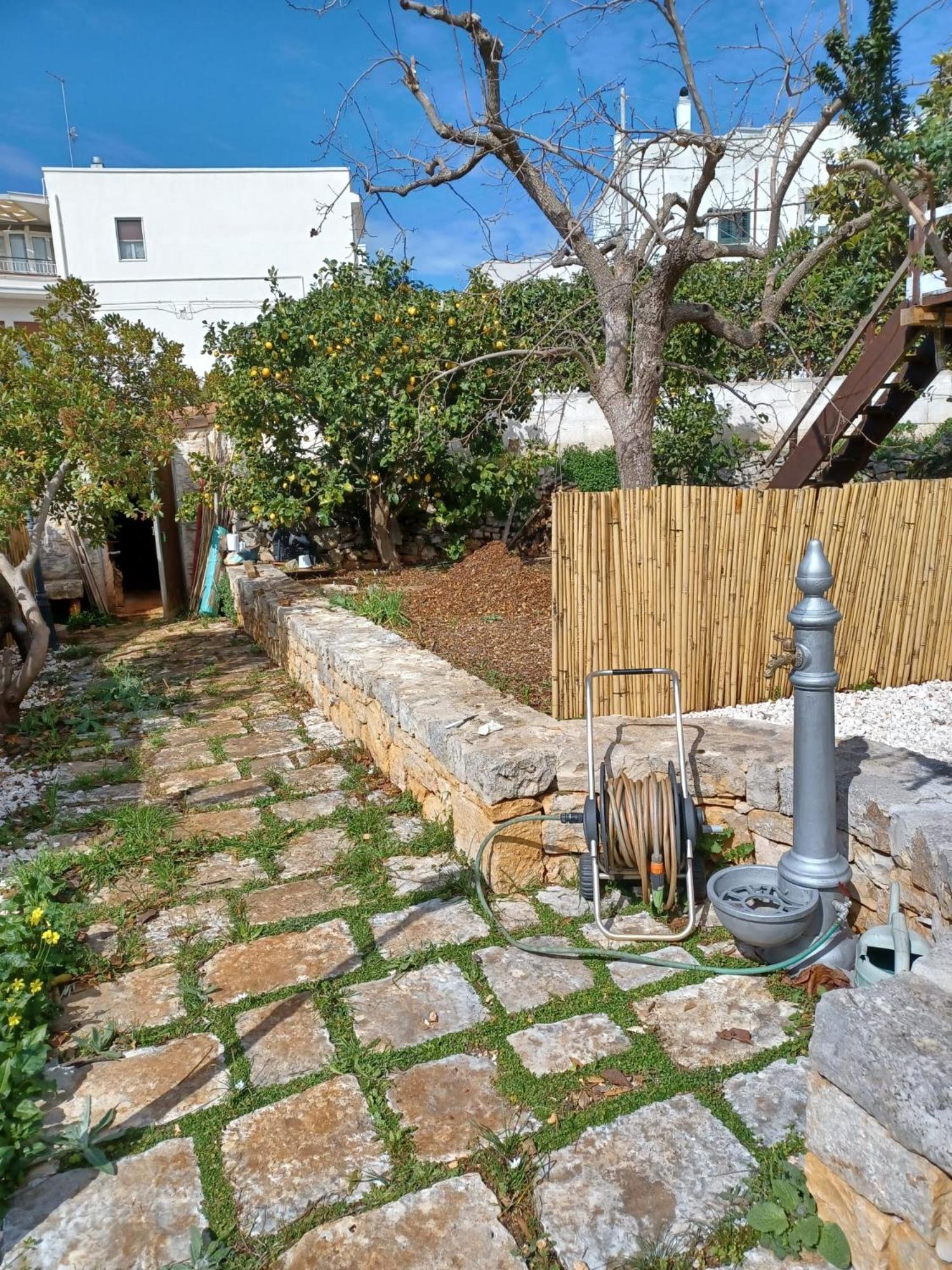 Trullo Vacanza Альберобелло Экстерьер фото